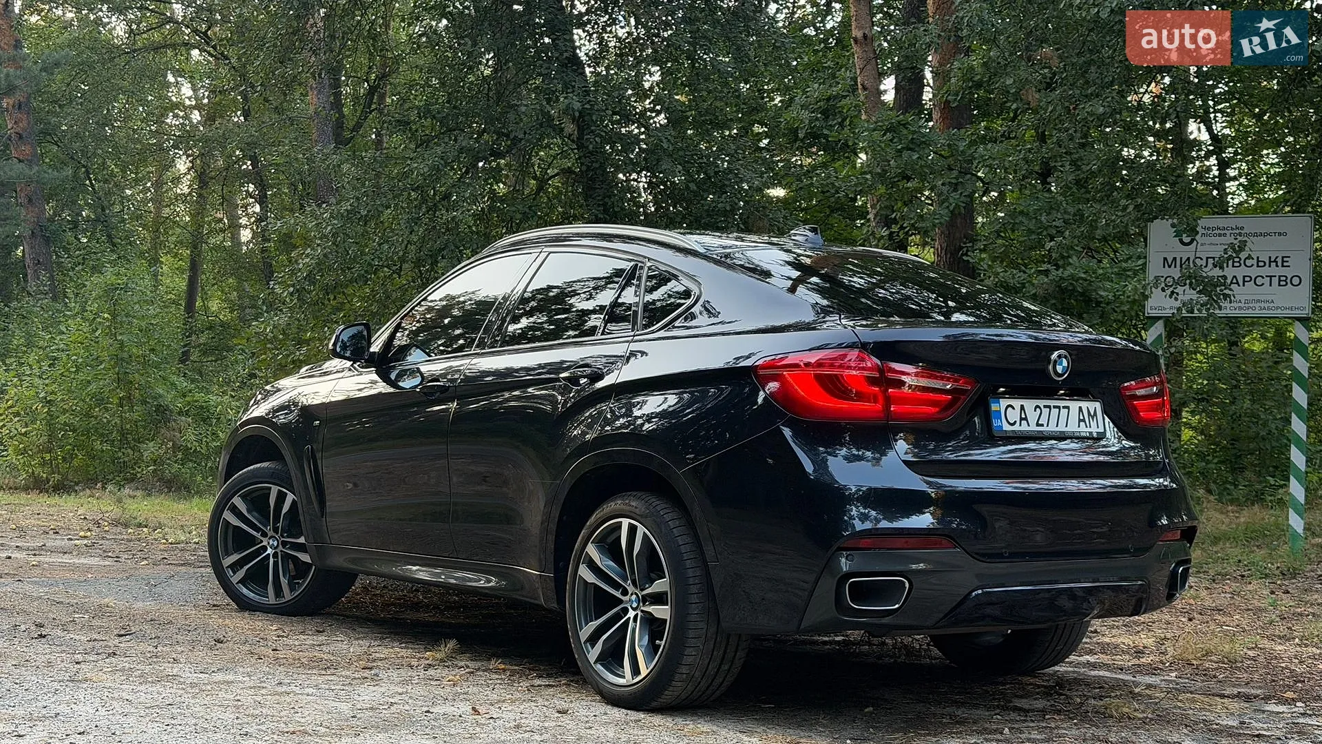 BMW X6, 2019