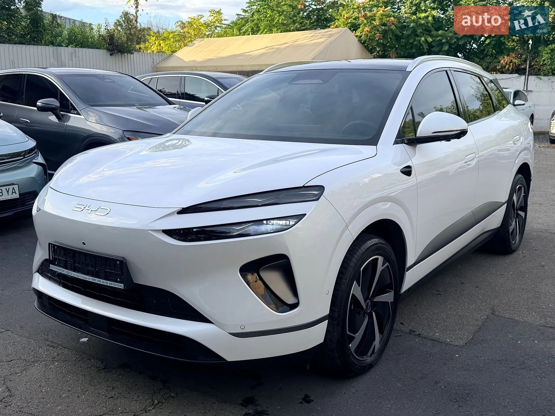 BYD Sea Lion 06, 2025