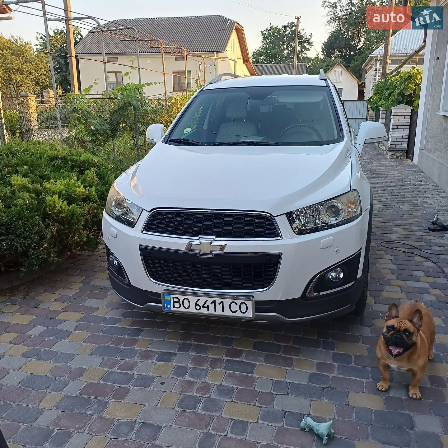 Chevrolet Captiva, 2013