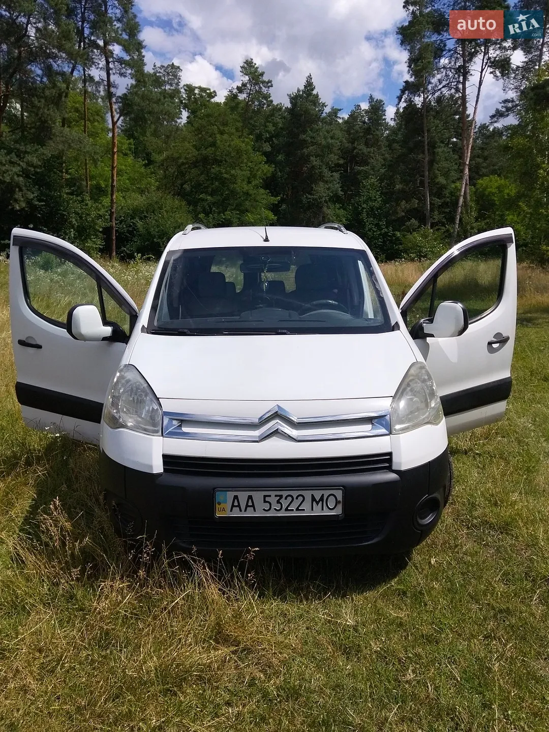Citroën Berlingo, 2010