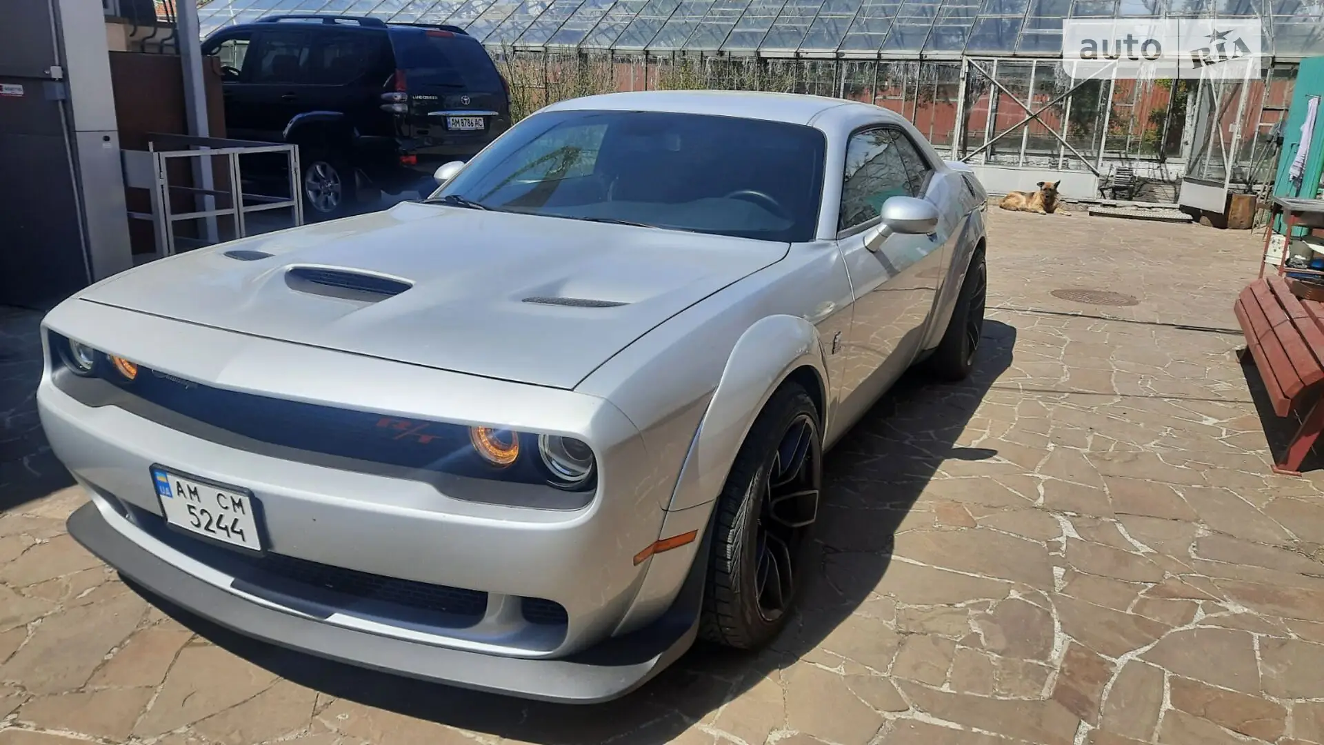 Dodge Challenger, 2019