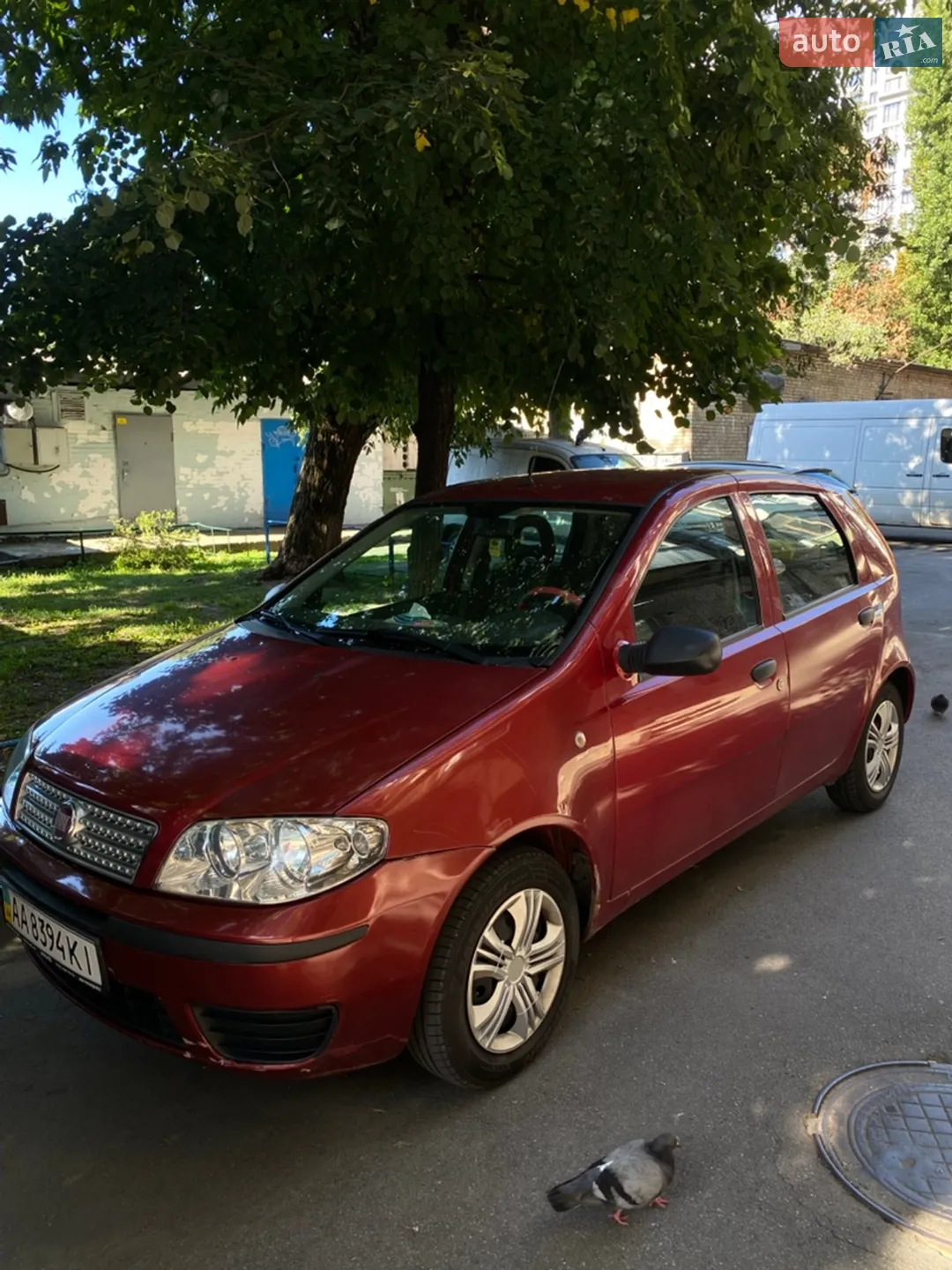 Fiat Punto, 2010