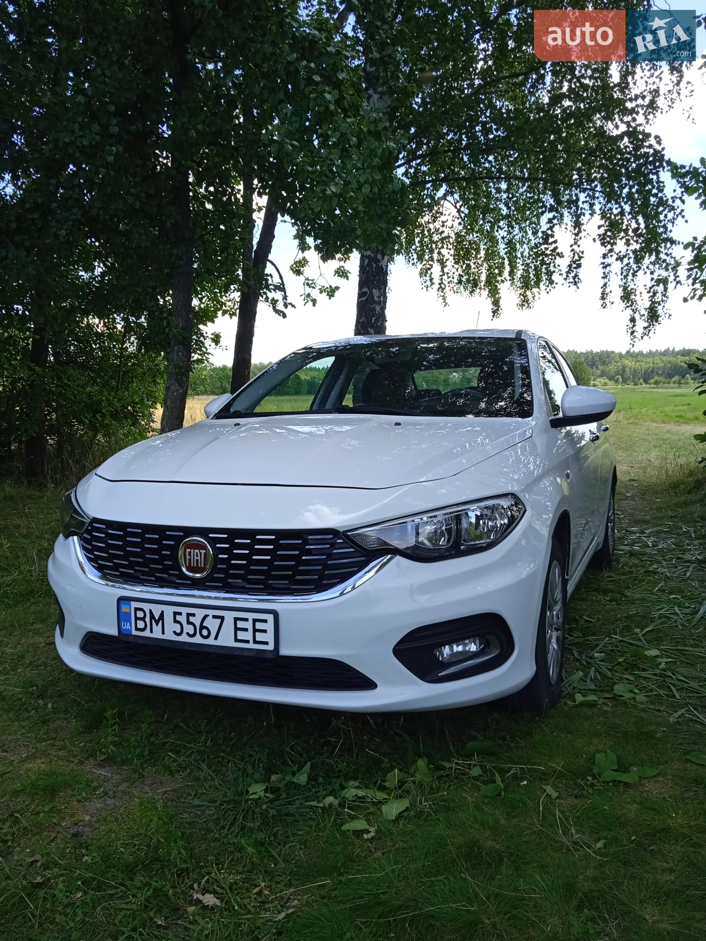 Fiat Tipo, 2019