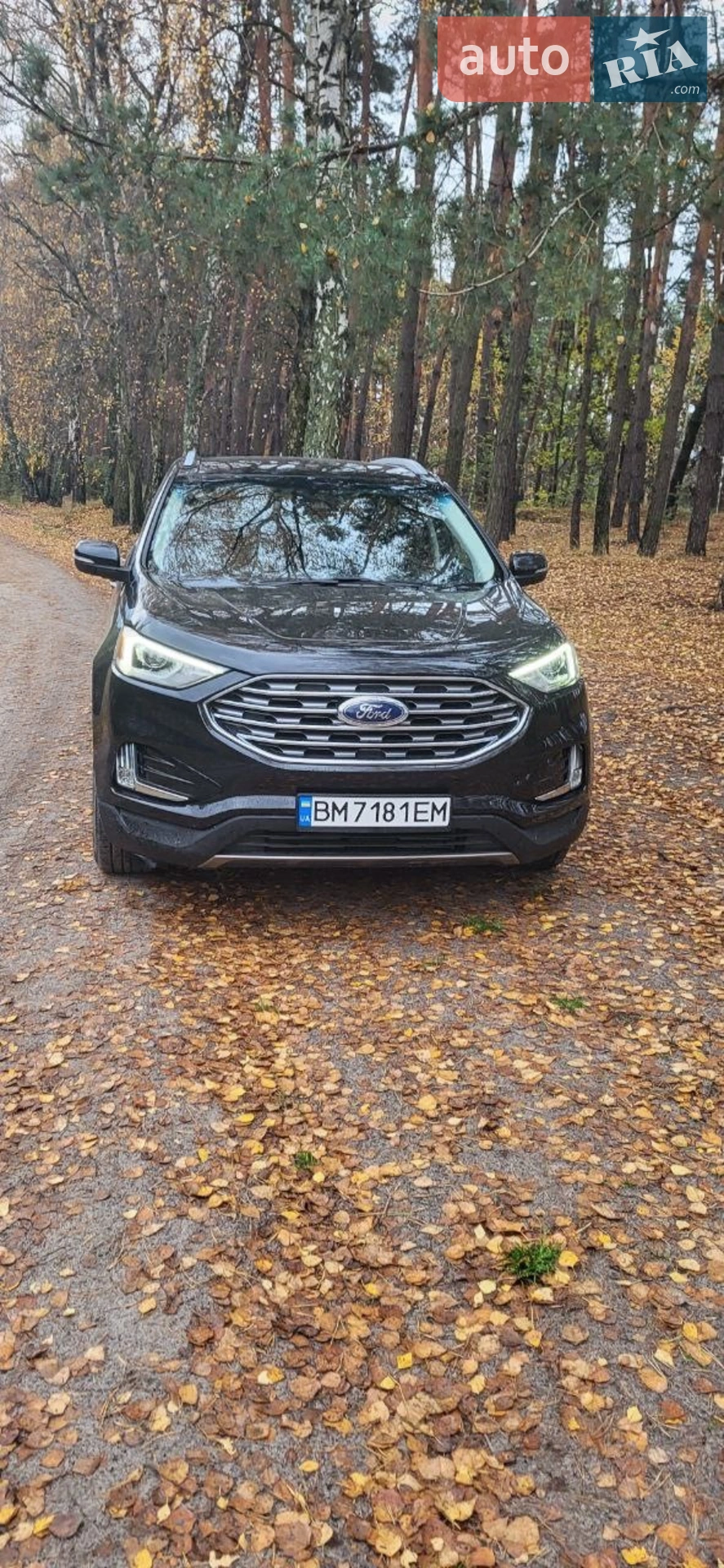 Ford Edge, 2019