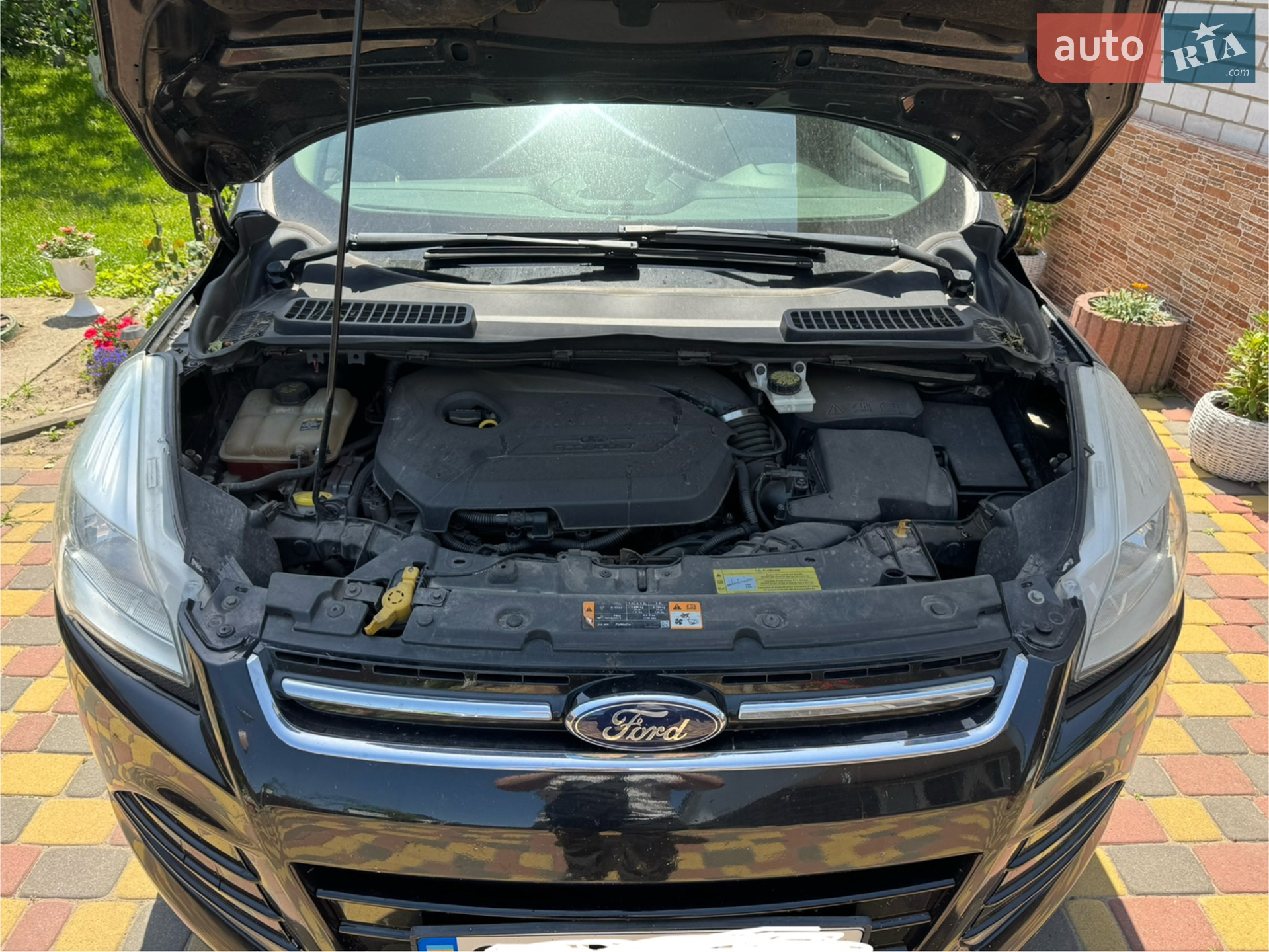 Ford Escape, 2013
