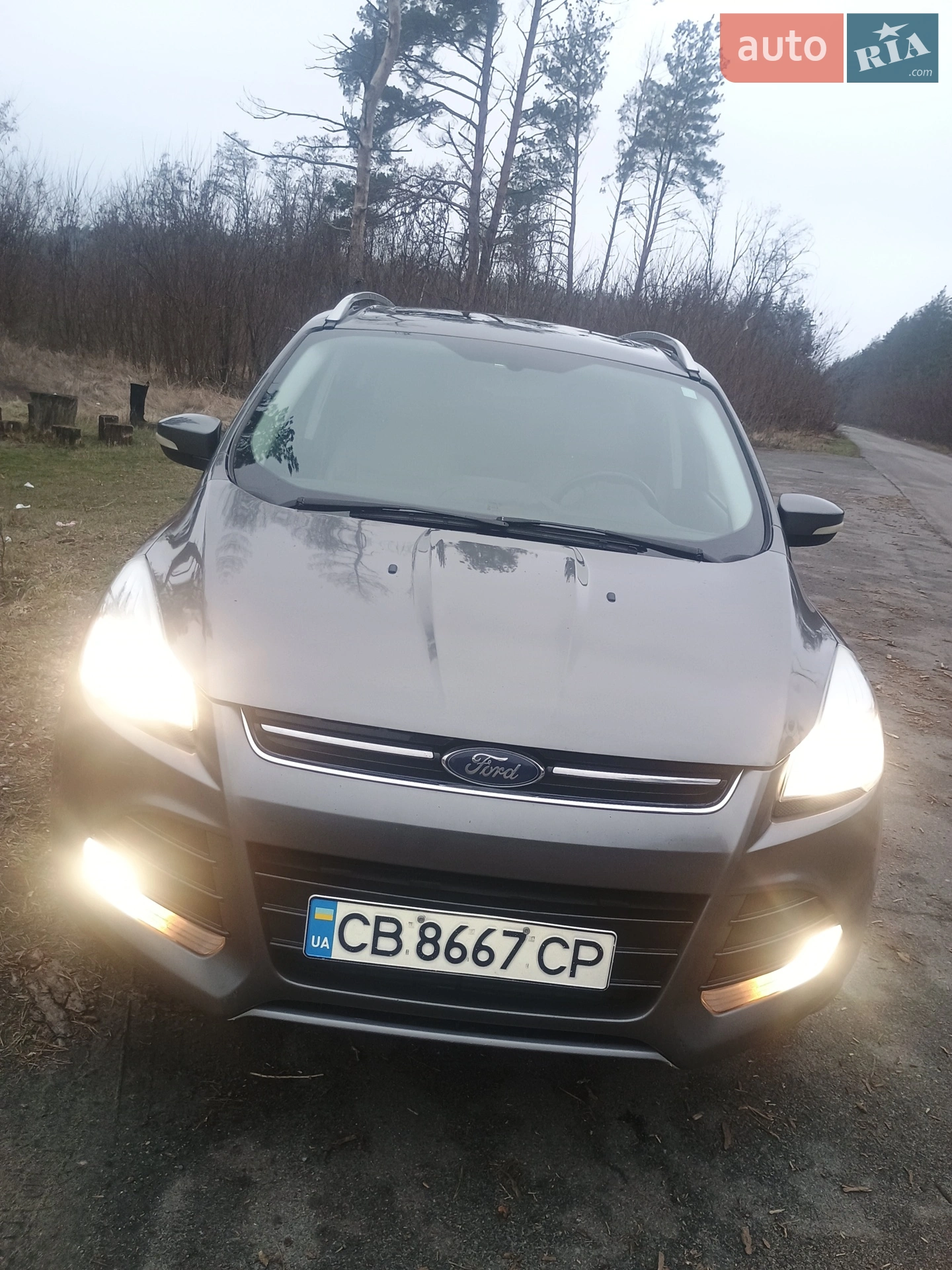 Ford Escape, 2014