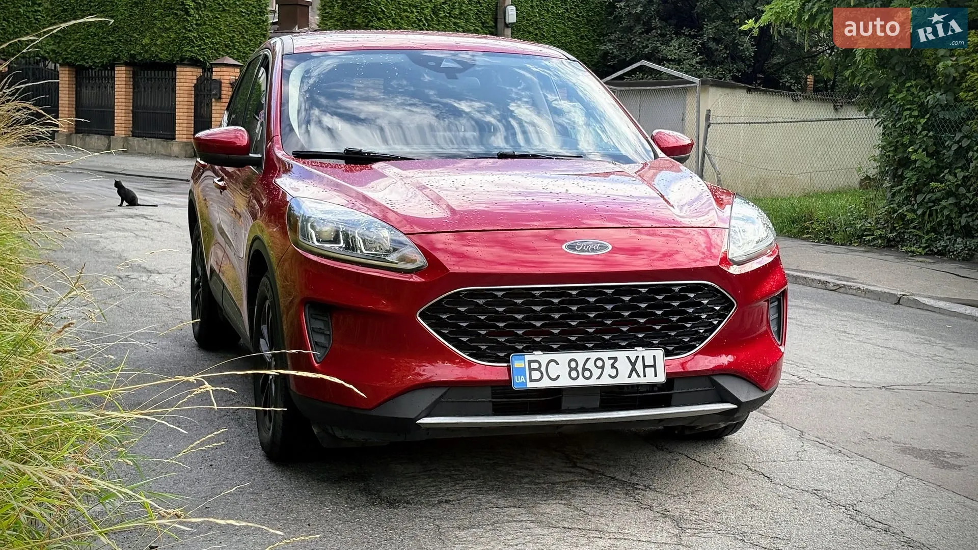 Ford Escape, 2019