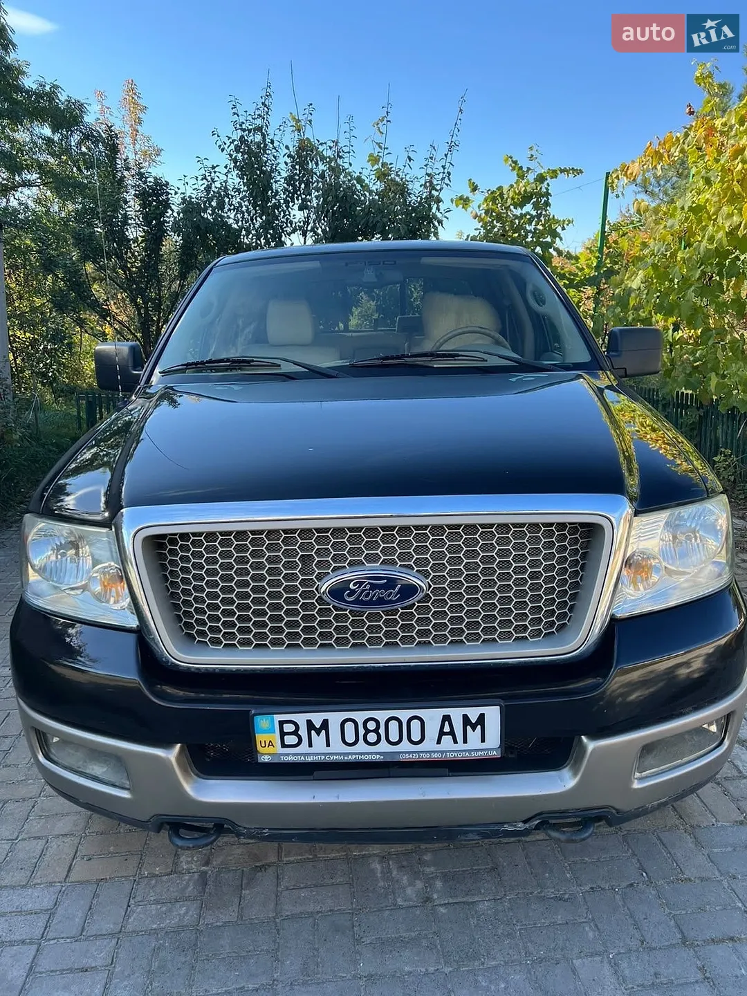 Ford F-150, 2004