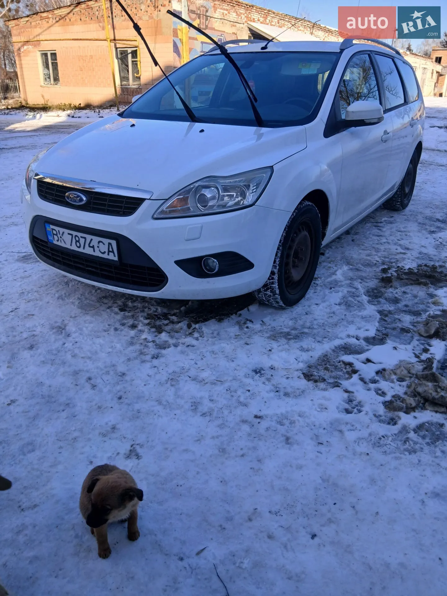 Ford Focus, 2010