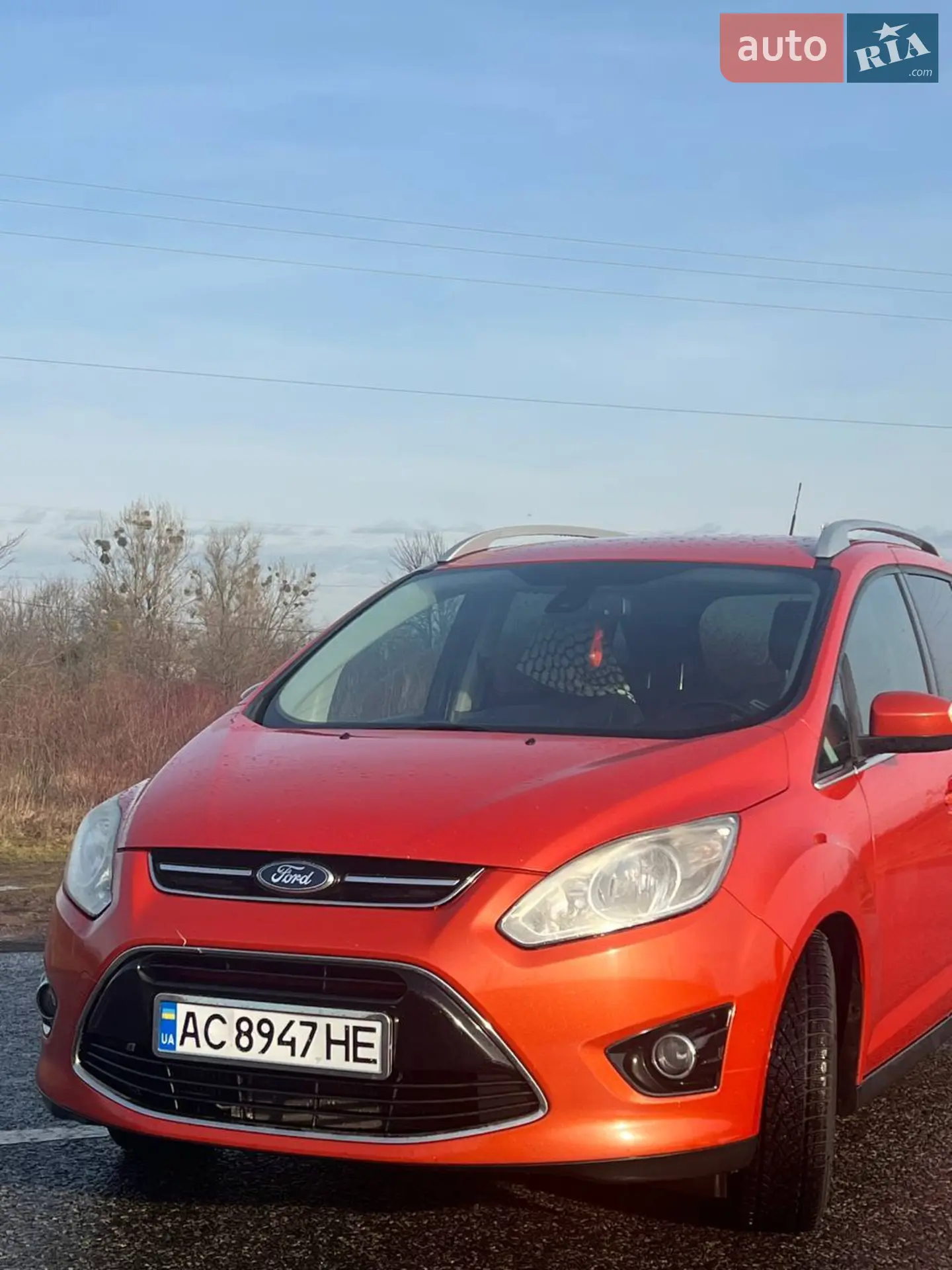 Ford Grand C-Max, 2010
