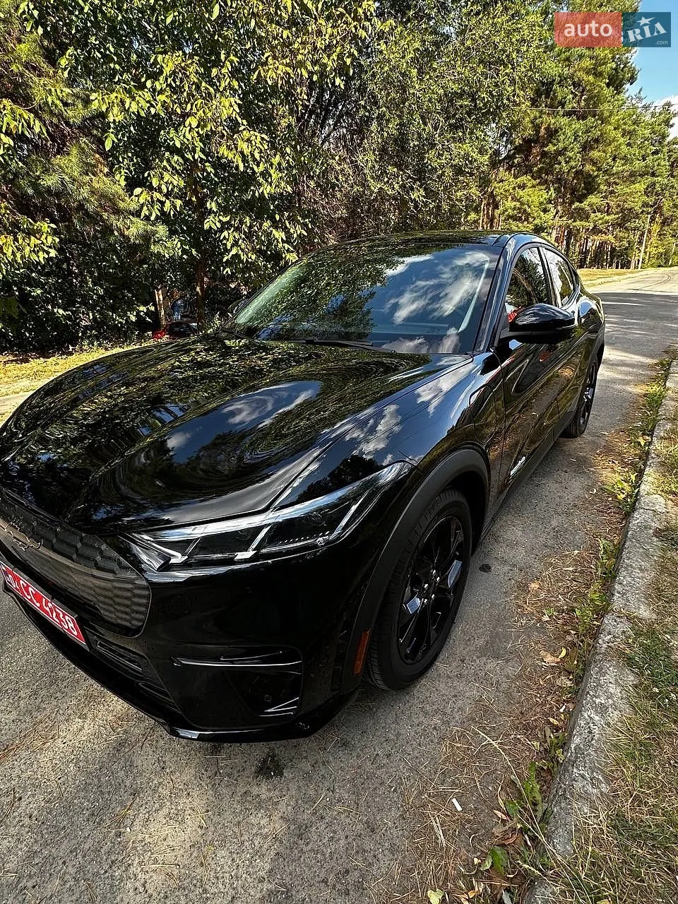 Ford Mustang Mach-E, 2024