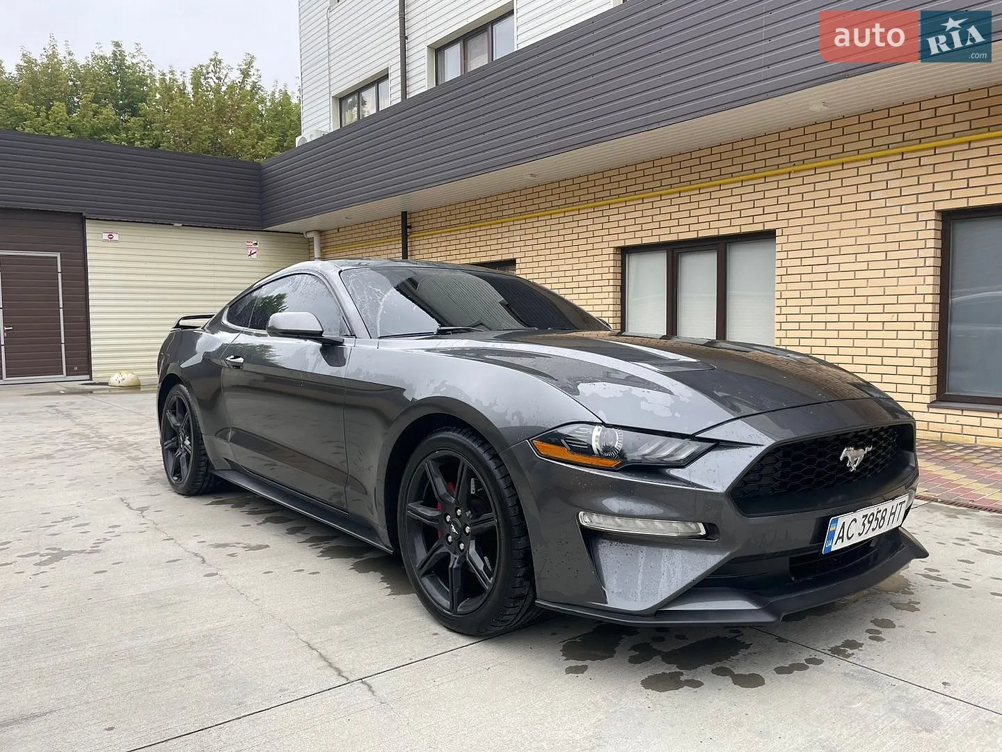 Ford Mustang, 2019