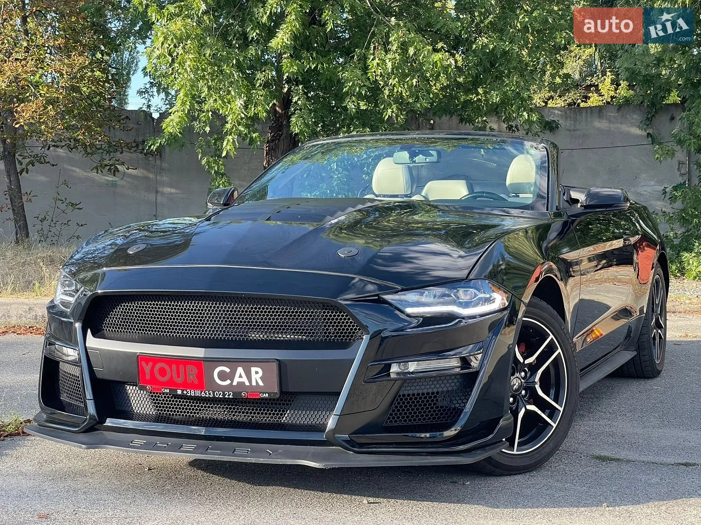 Ford Mustang, 2019