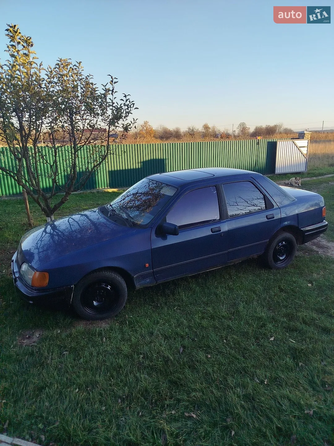 Ford Sierra, 1989