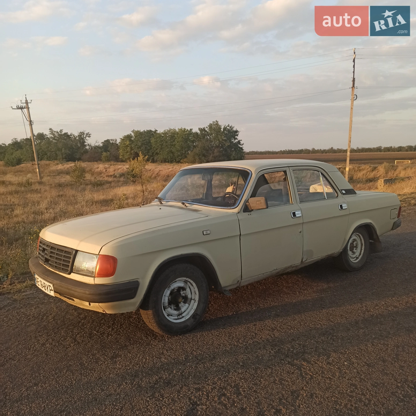 ГАЗ 31029 Волга, 1993