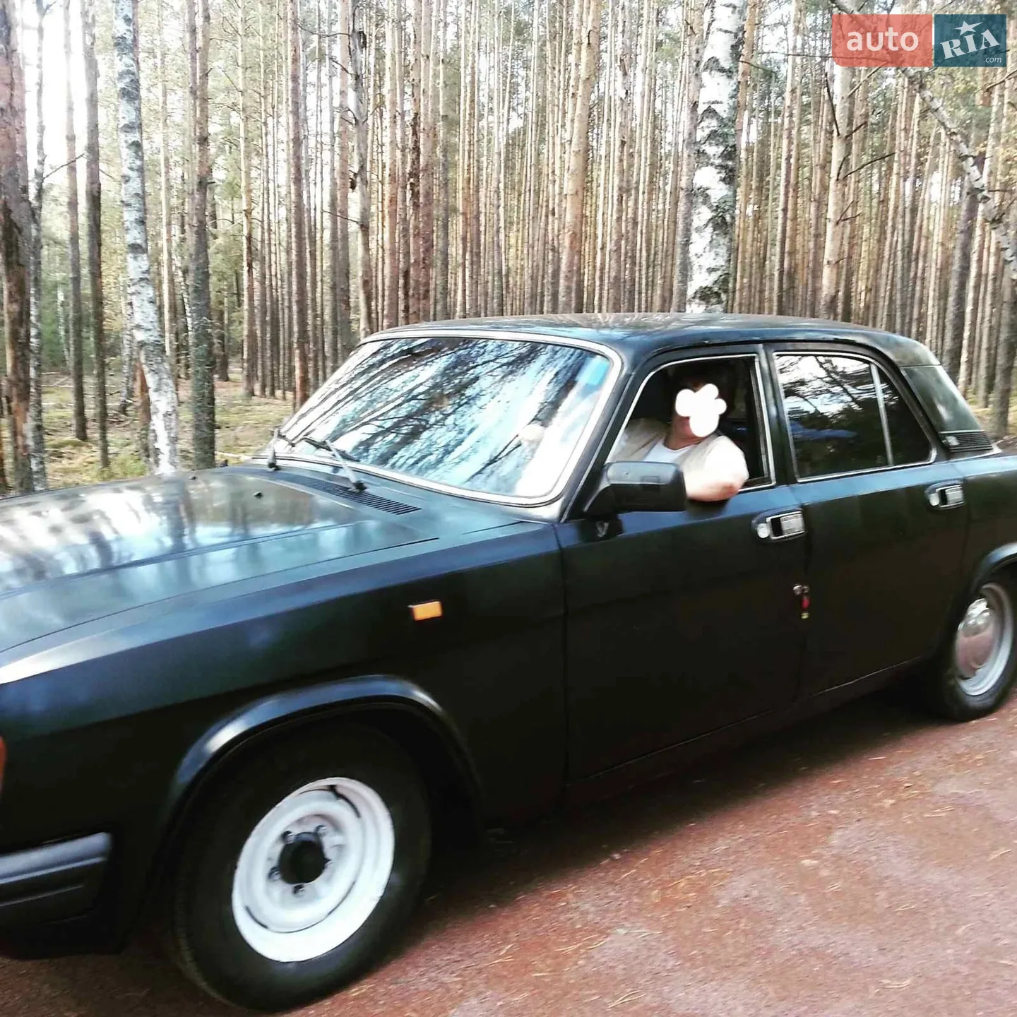 ГАЗ 31029 Волга, 1993