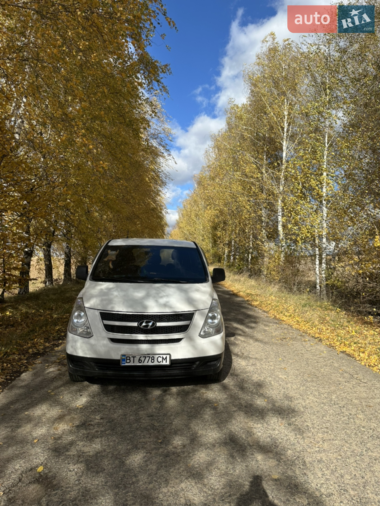 Hyundai H-1, 2008