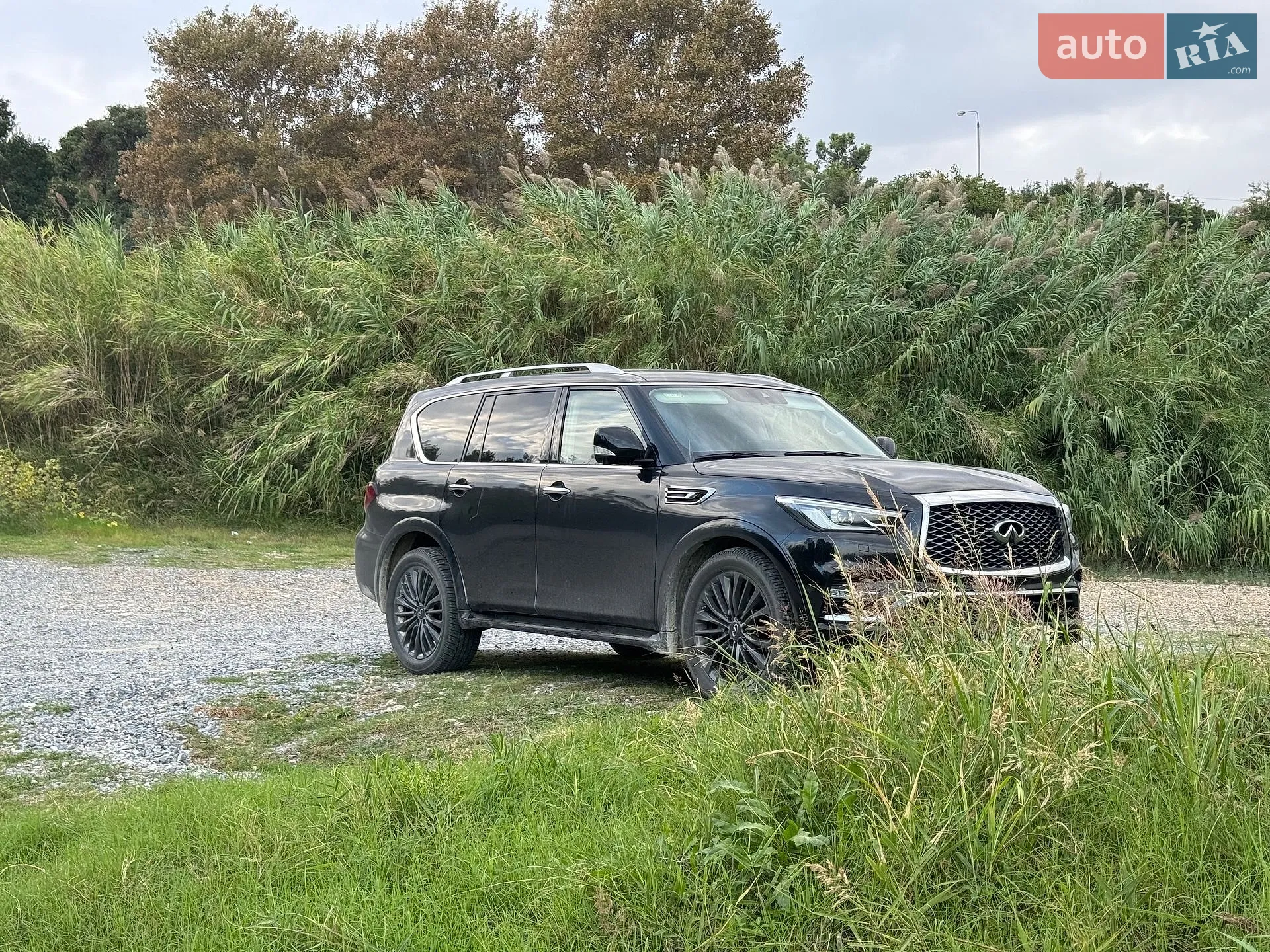 Infiniti QX80, 2022