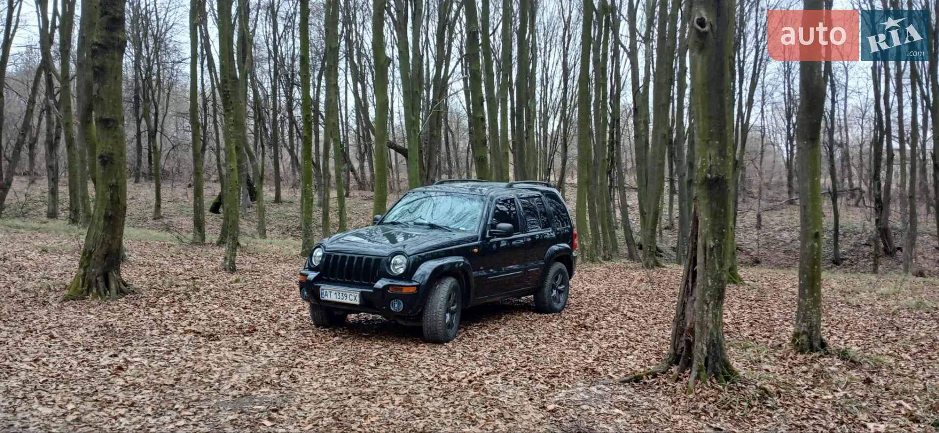 Jeep Cherokee, 2001