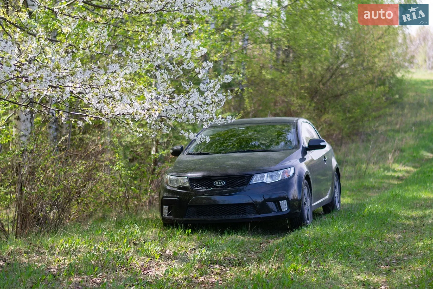 Kia Cerato Koup, 2010