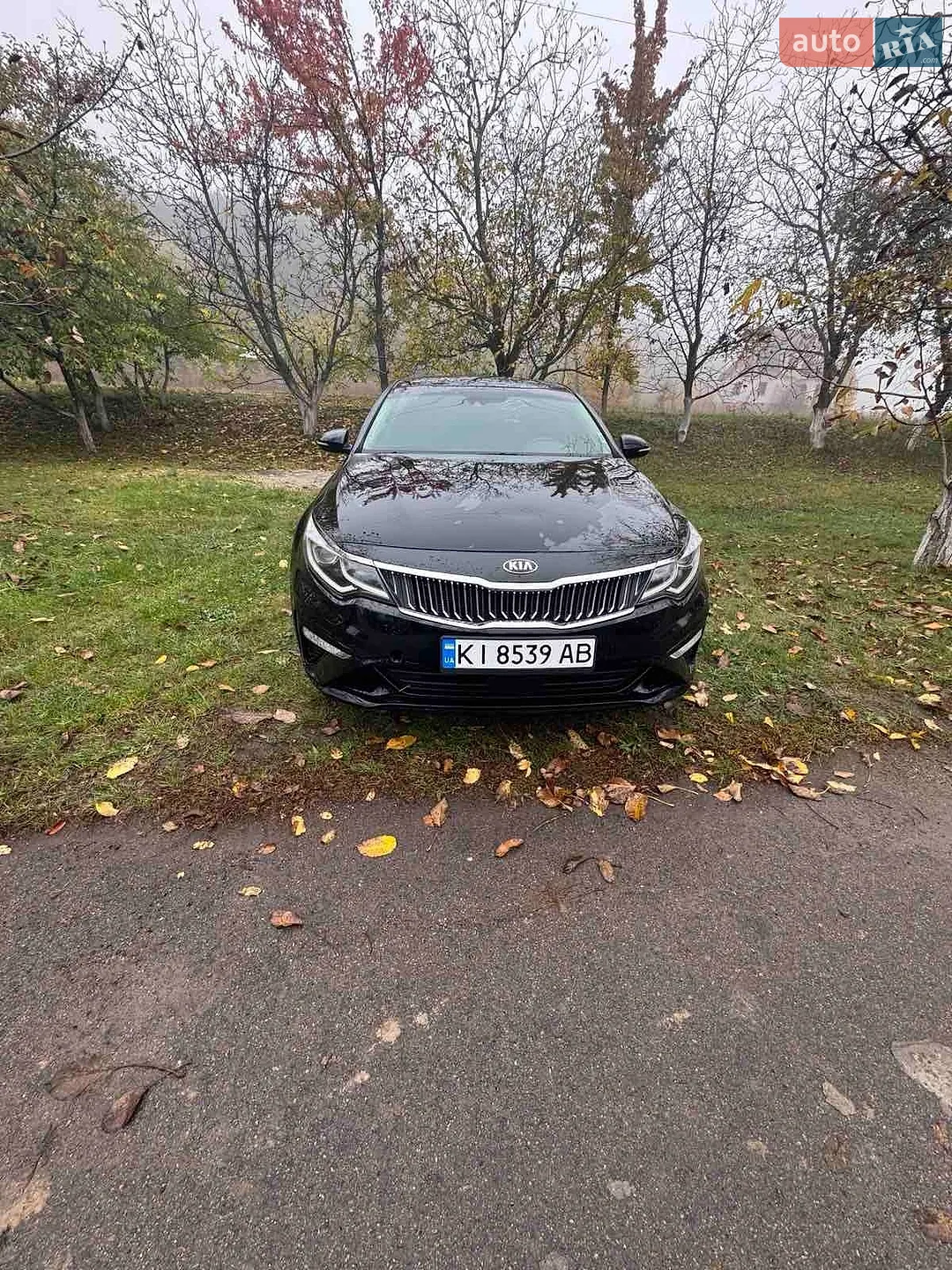 Kia Optima, 2019