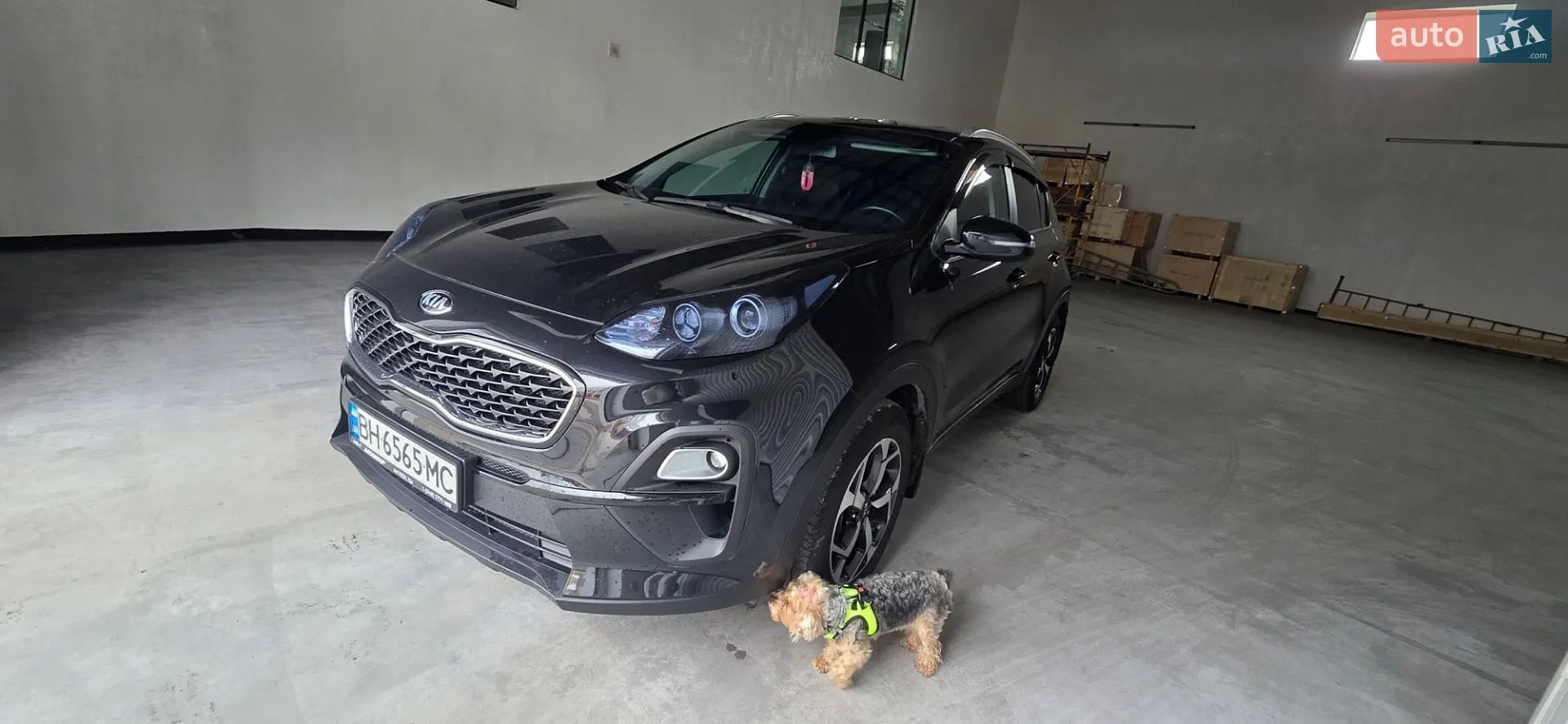 Kia Sportage, 2020