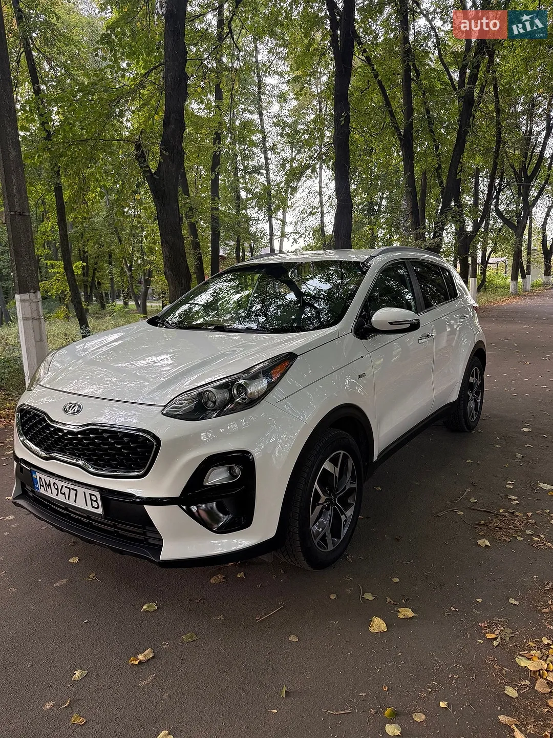 Kia Sportage, 2019