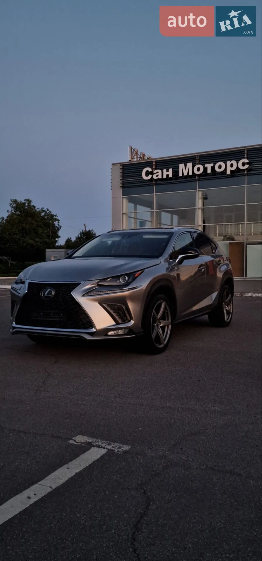 Lexus NX, 2019
