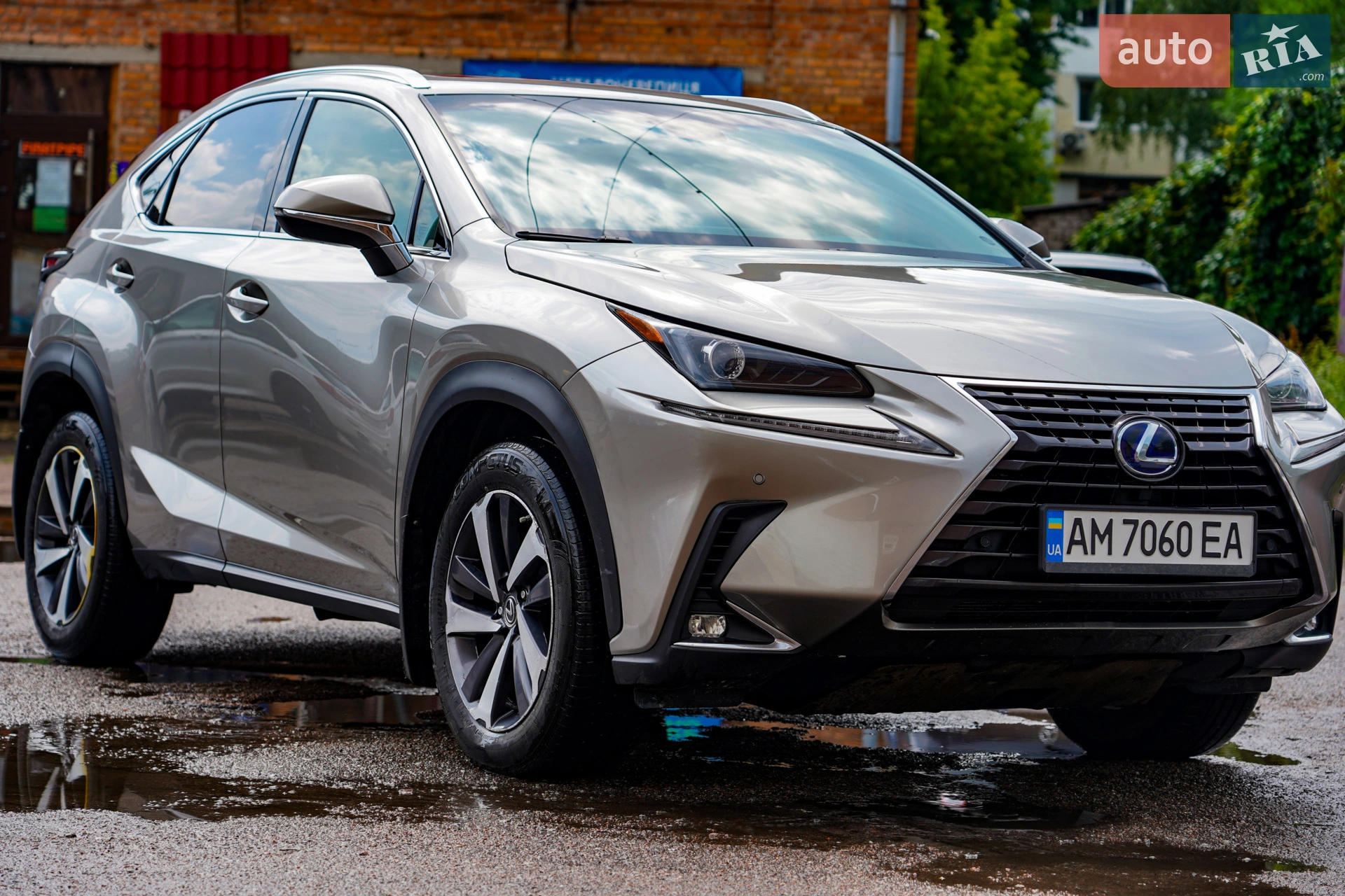 Lexus NX, 2019