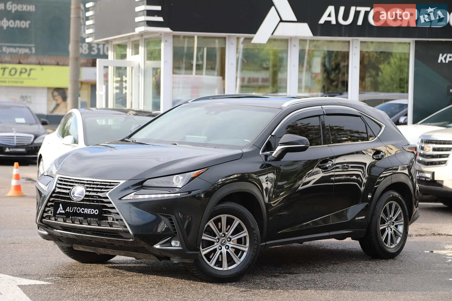 Lexus NX, 2019