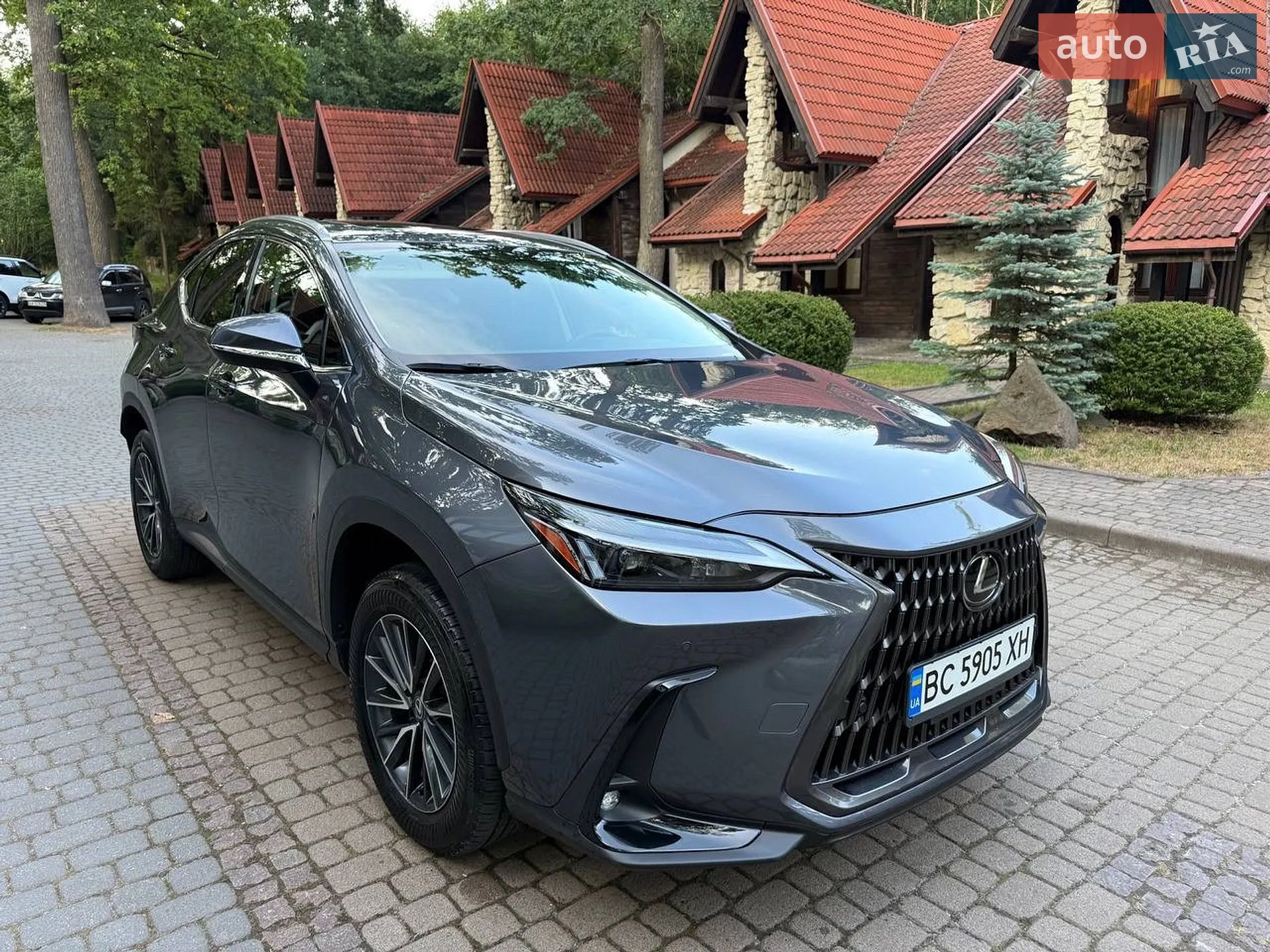 Lexus NX, 2024