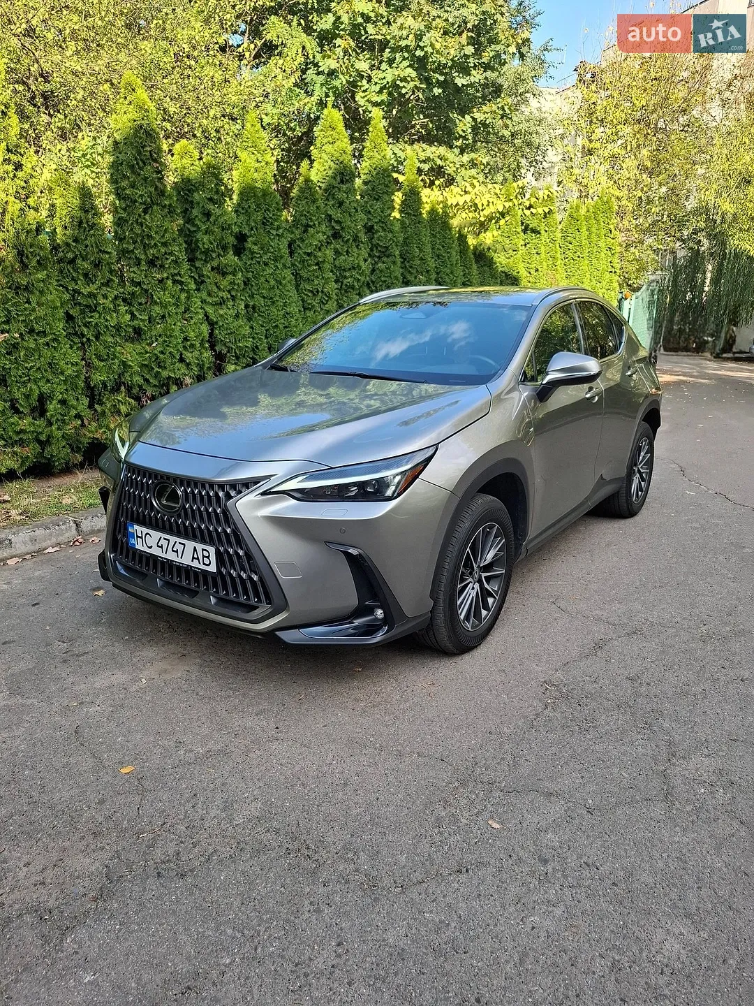 Lexus NX, 2023