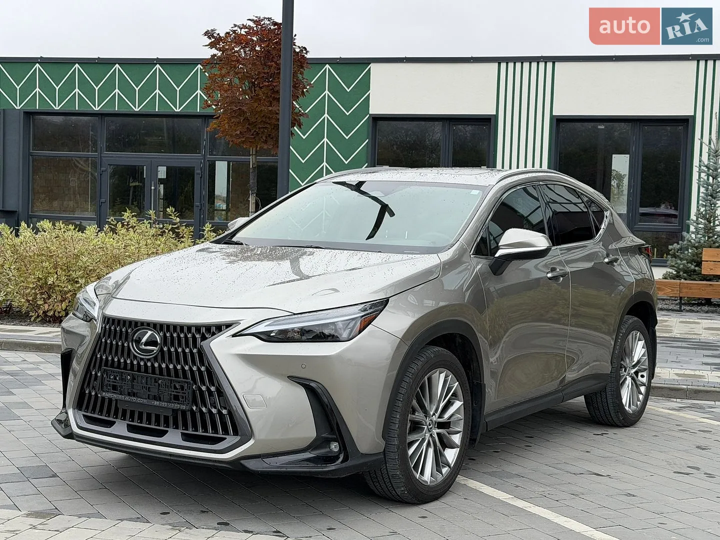 Lexus NX, 2024