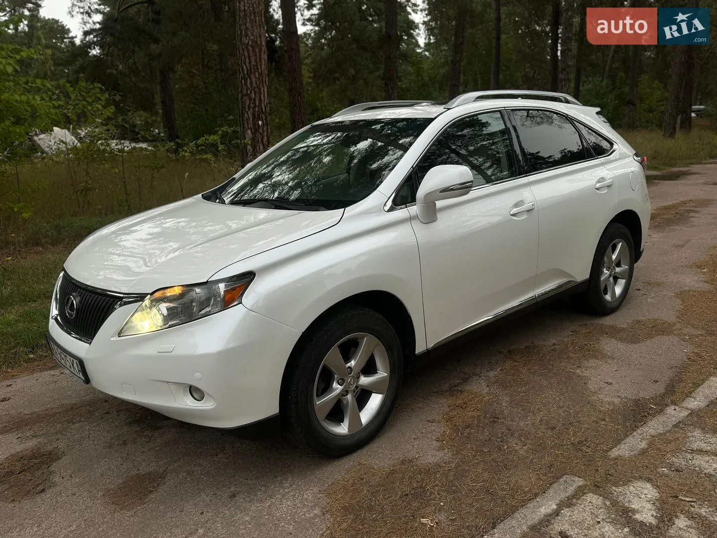 Lexus RX, 2010