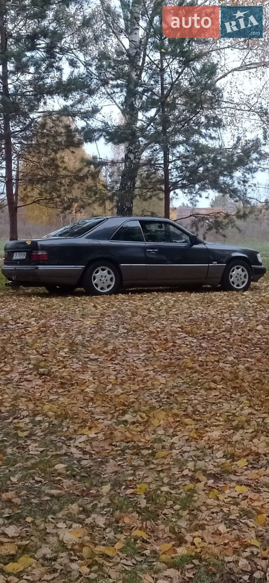 Mercedes-Benz E-Class, 1994