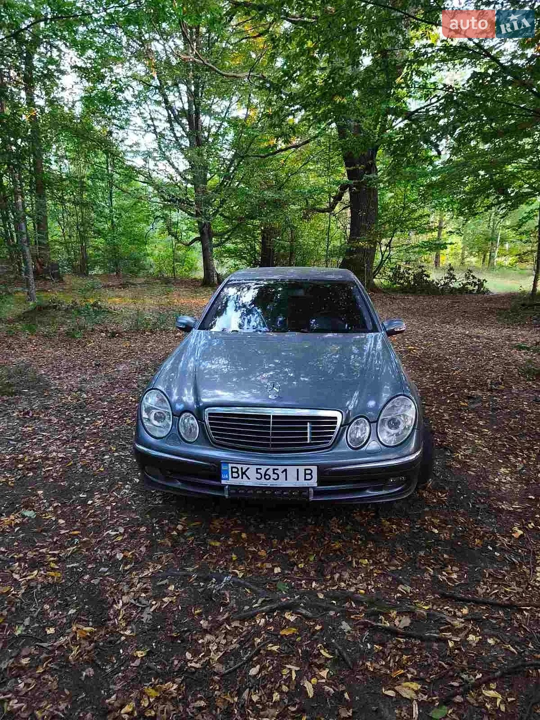 Mercedes-Benz E-Class, 2005