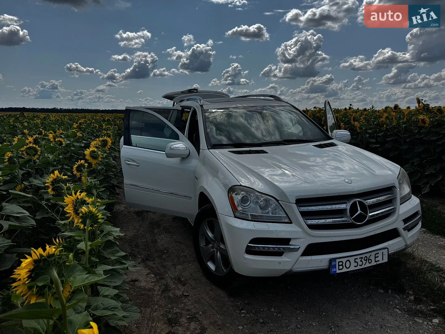 Mercedes-Benz GL-Class, 2010
