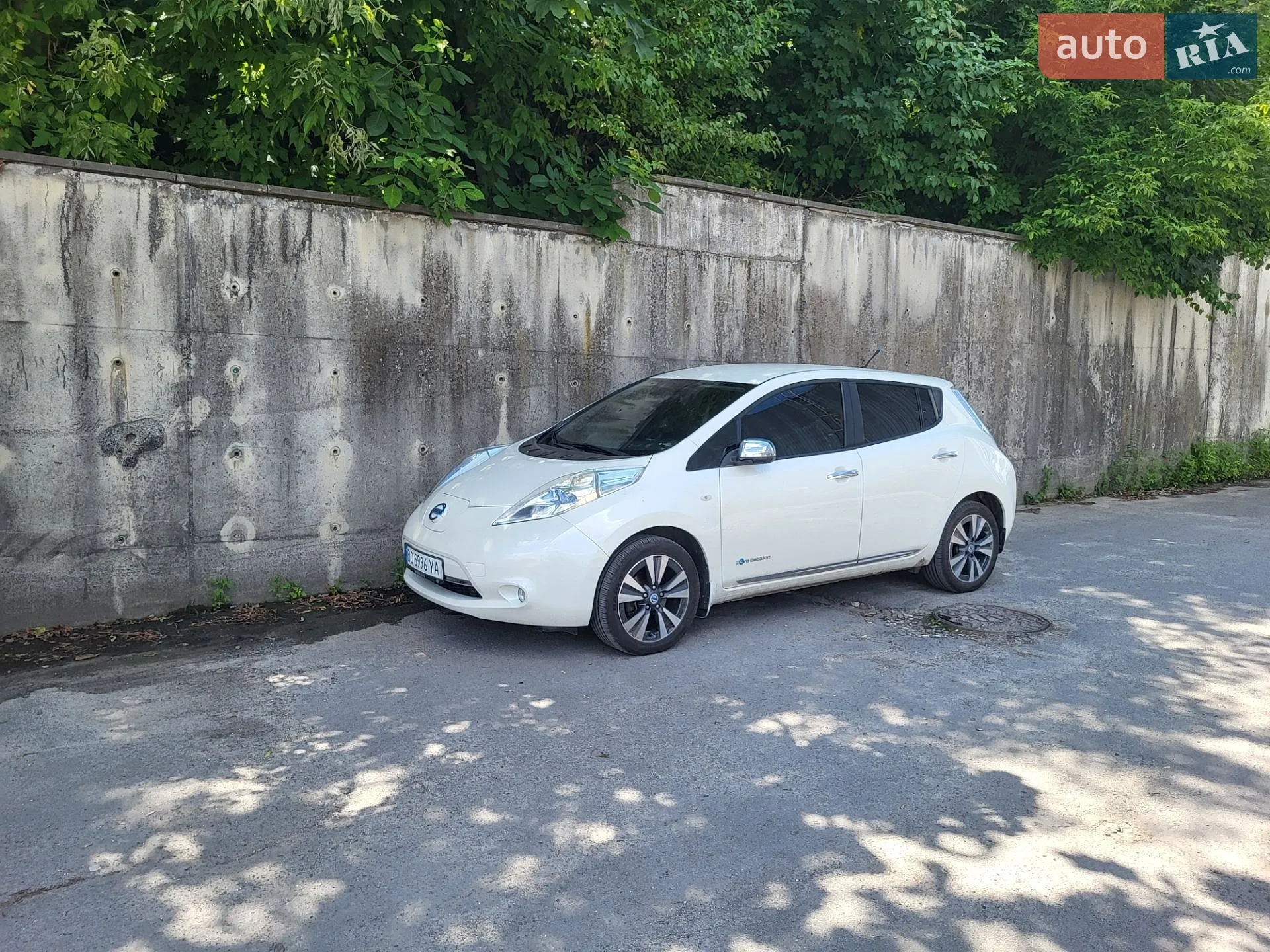 Nissan Leaf, 2013