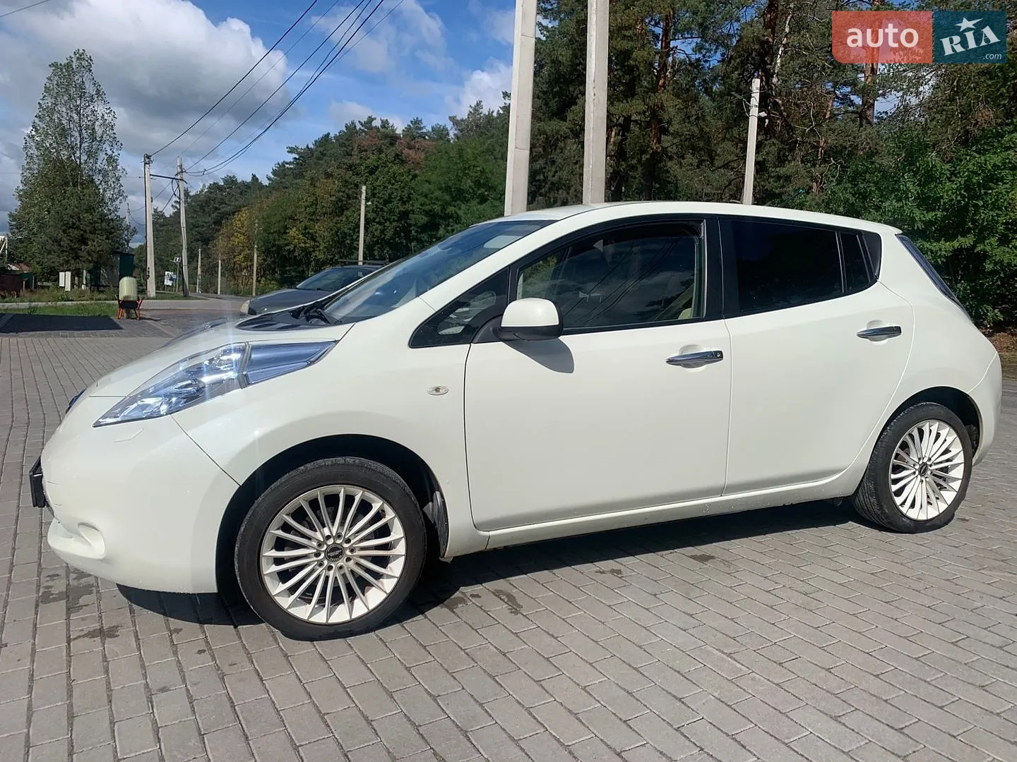 Nissan Leaf, 2013