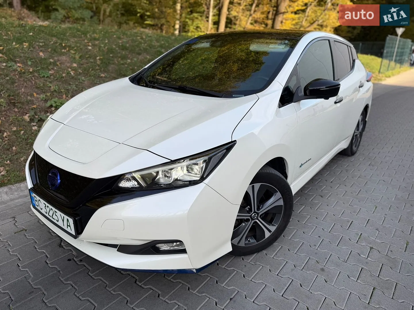 Nissan Leaf, 2019