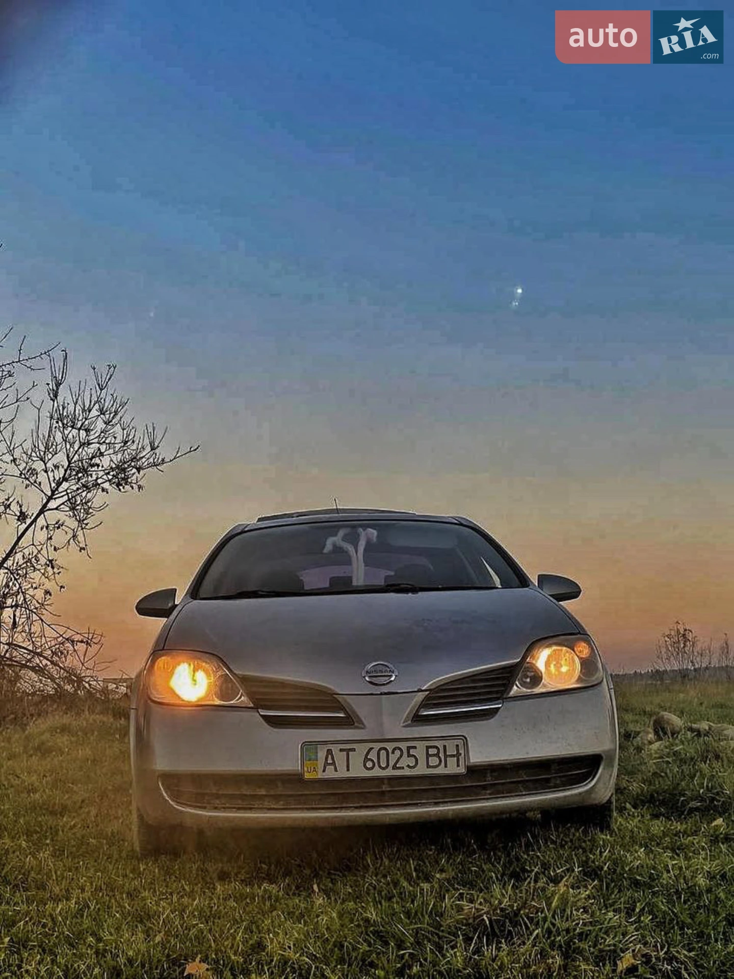 Nissan Primera, 2004