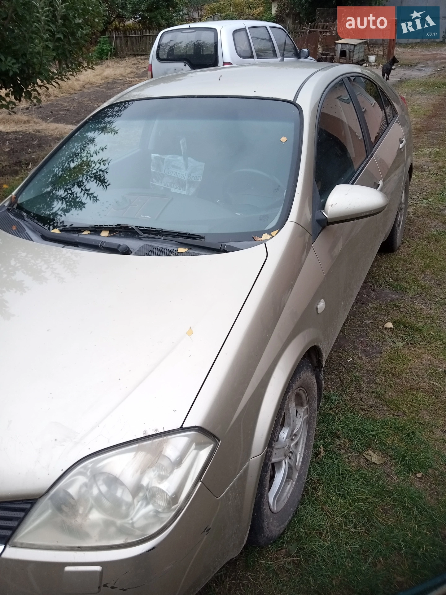 Nissan Primera, 2003