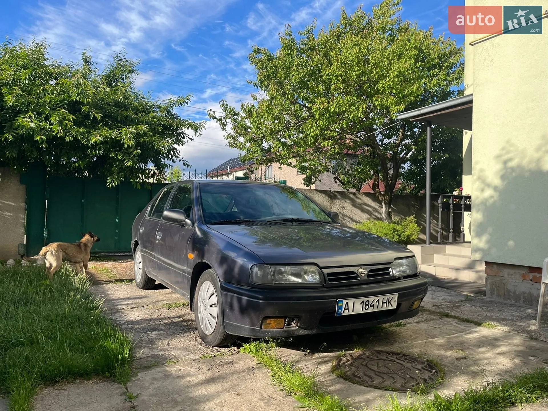 Nissan Primera, 1994