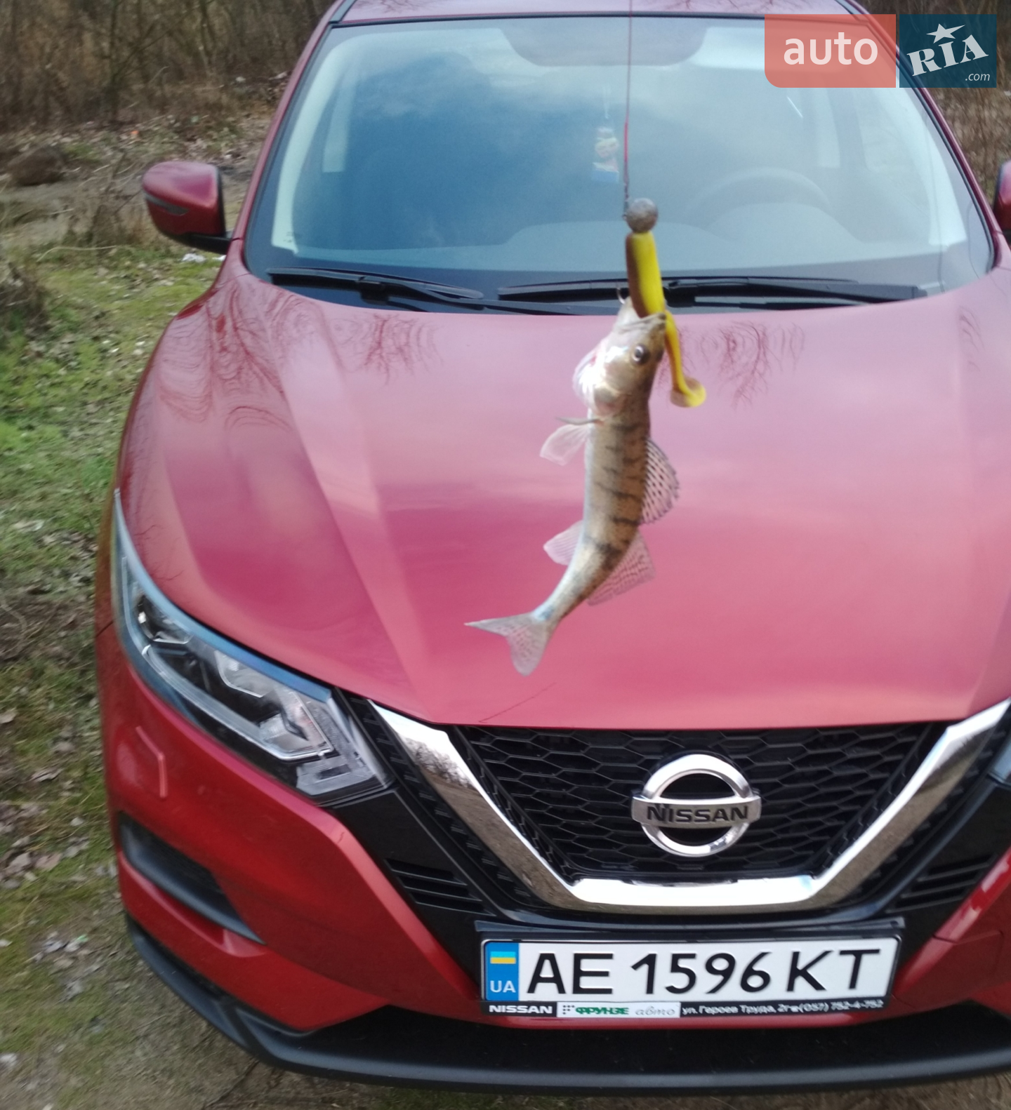 Nissan Qashqai, 2019