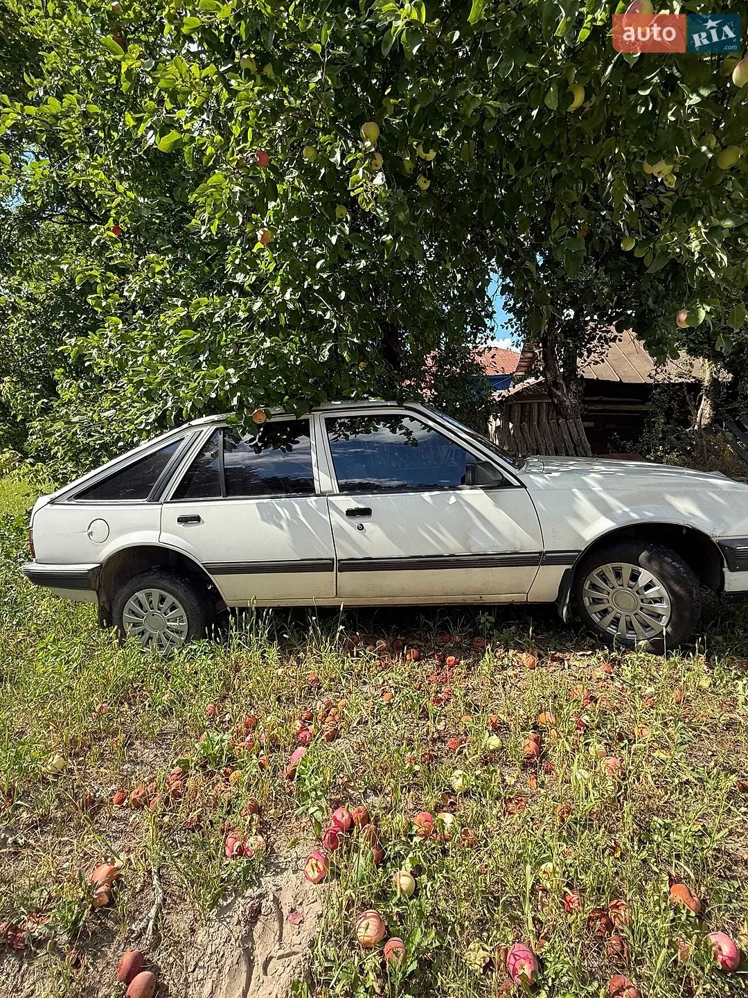 Opel Ascona, 1987