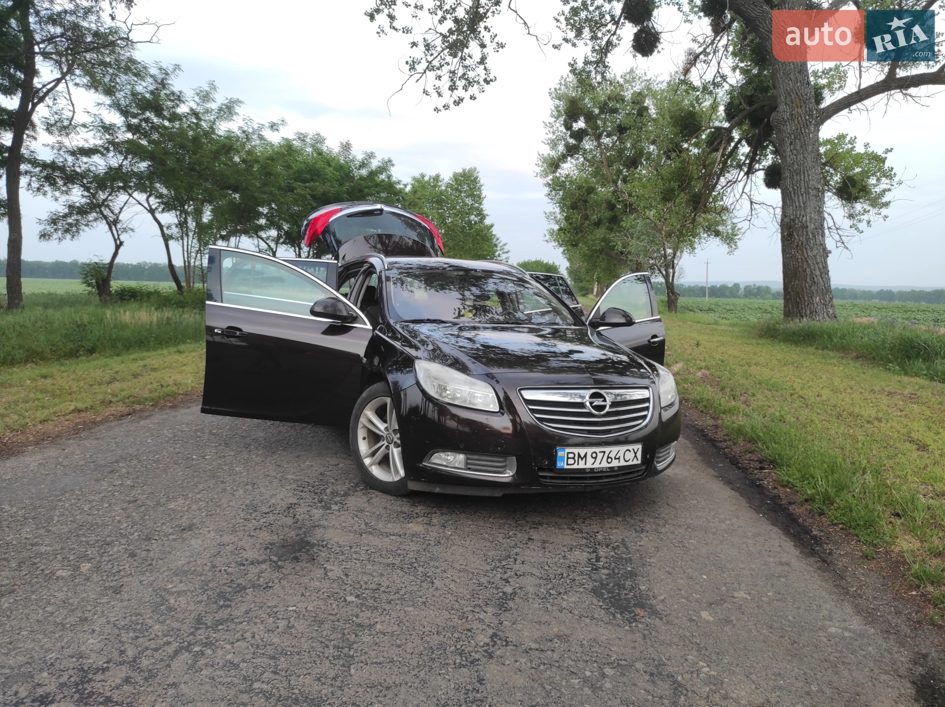 Opel Insignia, 2010