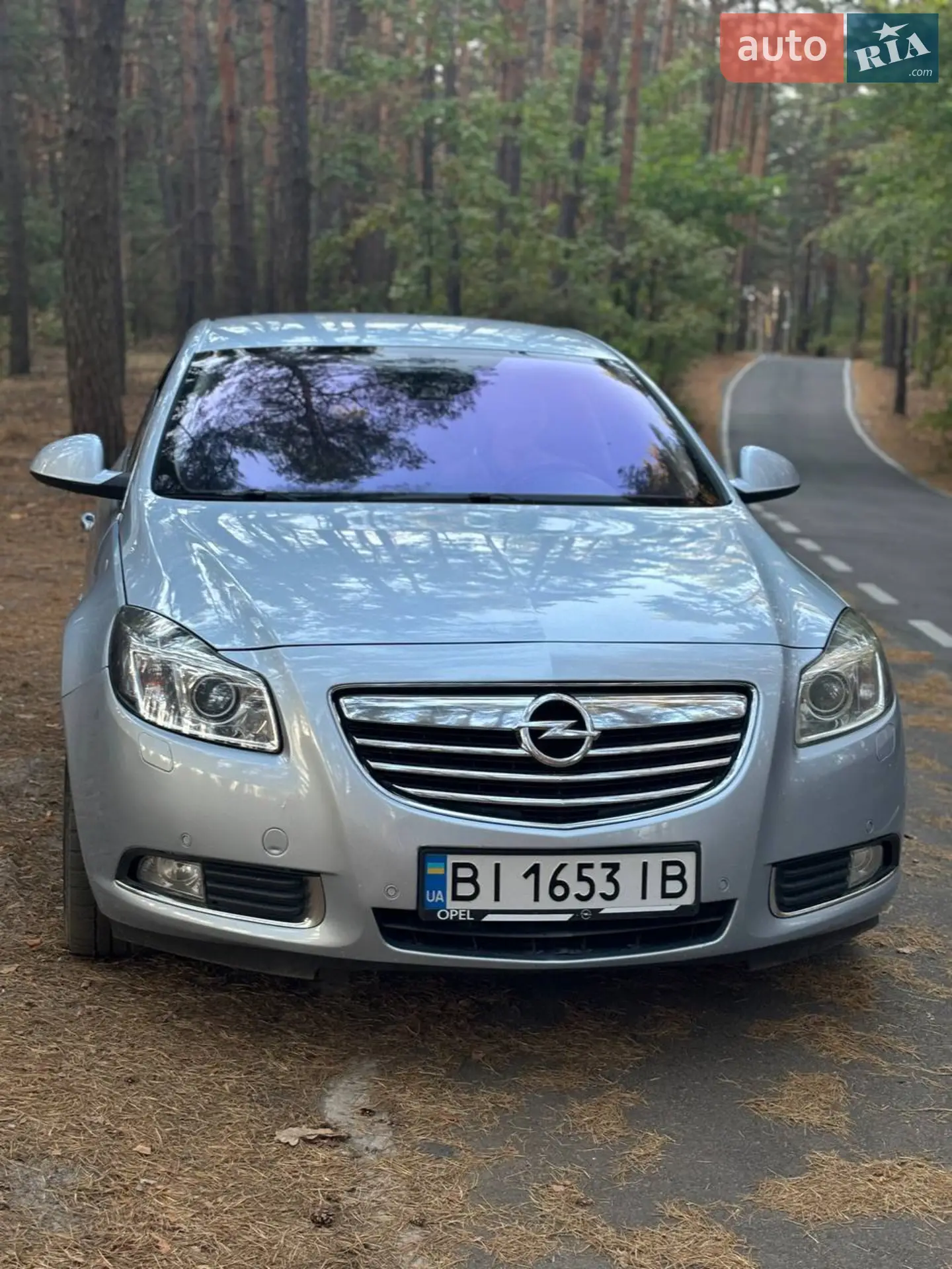 Opel Insignia, 2013