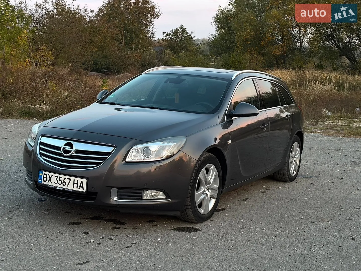 Opel Insignia, 2010