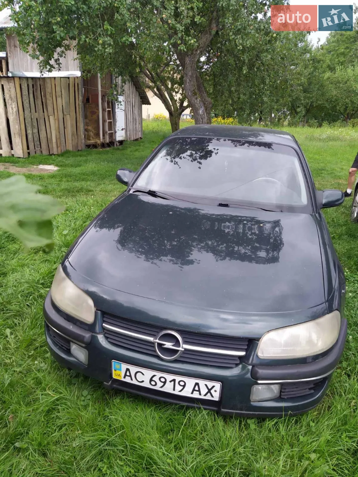 Opel Omega, 1996