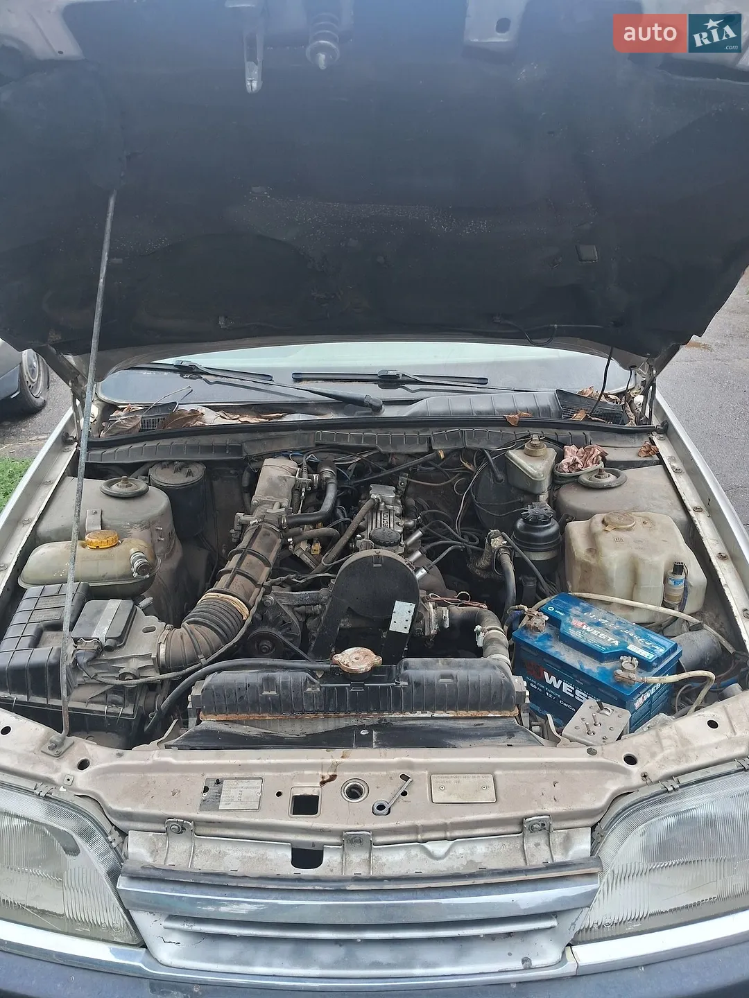 Opel Omega, 1991